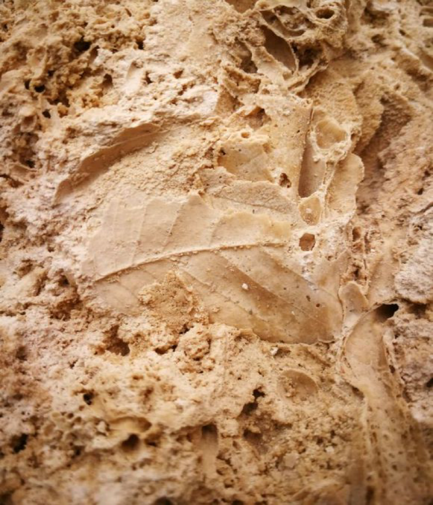 圖片 1.png 圖片 1.png