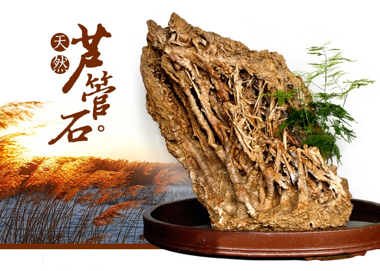 TB2Fckvd04opuFjSZFLXXX8mXXa_!!2465541985.jpg TB2Fckvd04opuFjSZFLXXX8mXXa_!!2465541985.jpg