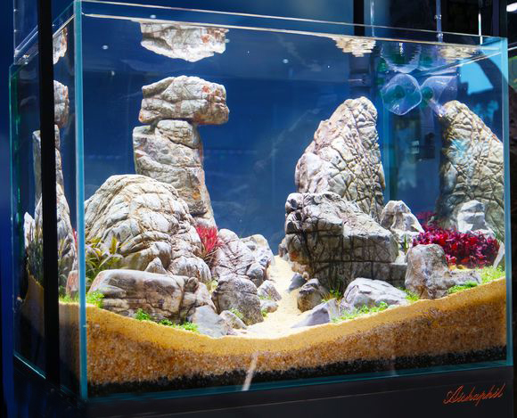 4a26484a20a44623e0b689579422720e0cf3d78f.jpg 4a26484a20a44623e0b689579422720e0cf3d78f.jpg