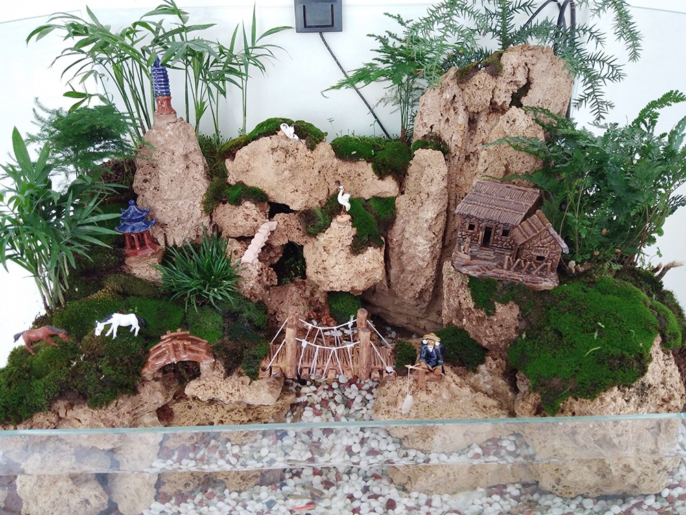 IMG_20190507_114545.jpg IMG_20190507_114545.jpg