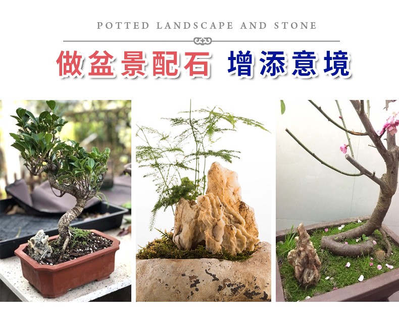 TB2leV2CY9YBuNjy0FgXXcxcXXa_!!3498715891.jpg TB2leV2CY9YBuNjy0FgXXcxcXXa_!!3498715891.jpg