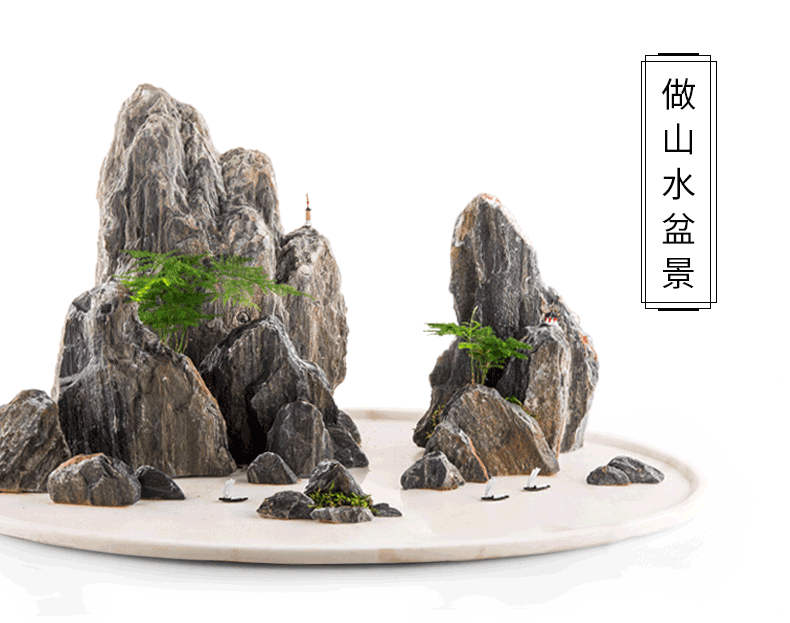 2019032508231573216.png 2019032508231573216.png