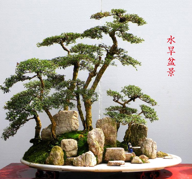 2019032508261541985.jpg 2019032508261541985.jpg