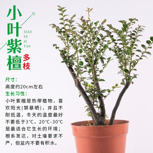 {F10C904E-9425-4DDC-961E-839A2B3E3E83}_20190517090217.jpg {F10C904E-9425-4DDC-961E-839A2B3E3E83}_20190517090217.jpg