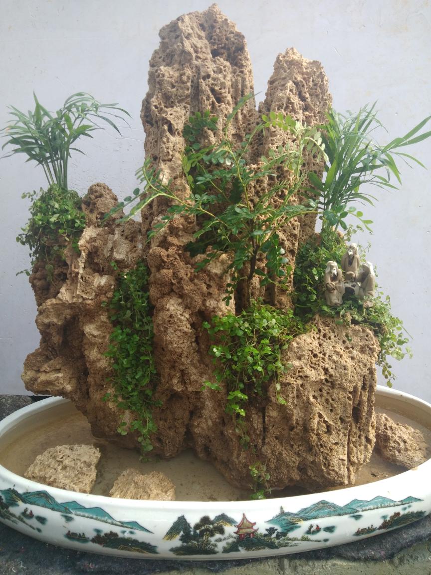 IMG_20190626_090550.jpg IMG_20190626_090550.jpg