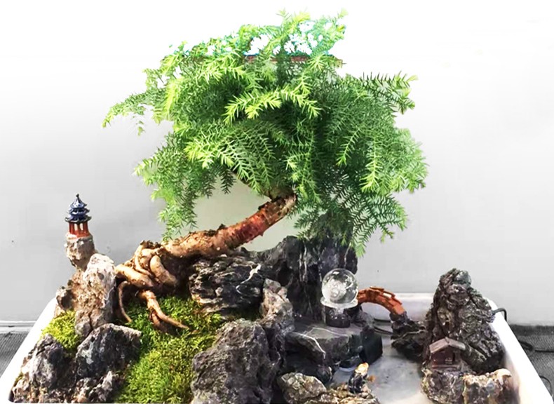 TB2.apmuC8YBeNkSnb4XXaevFXa_!!3498715891.jpg TB2.apmuC8YBeNkSnb4XXaevFXa_!!3498715891.jpg